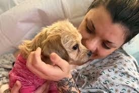 Fundraiser for Brittany Jones by Phoenix Bolland : Support Brittany &  Little's Healing Journey