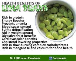 Pin By Mavocado I Luv Veggies On I Luv Veggies Health Benefits Of Beans Beans Benefits Lima Beans