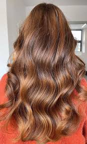 The color brown is the classic shade you can pick whether you're new or a veteran to dye jobs. 70 Hottest Brown Hair Colour Shades For Stunning Look Brown Hair Colour With Burnt Orange