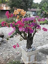 Contoh tingkat keanekaragaman gen hewan a. Keanakearagaman Hayati Tingkat Gen Blog Pak Pandani