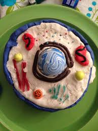 3d Cell Project Grade 8 Science Materials Clay Rubber Ball Glue Beads Licorice And Candy Very Simple Made By Connor M Cells Project 3d Cell Project Cake