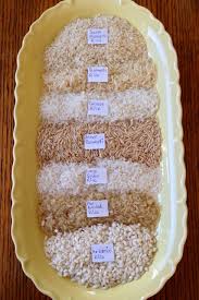 Image result for Oryza