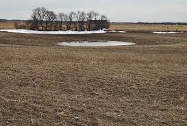 Les Henry: Twenty-seven years of crops at my Dundurn farm