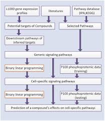 the flow chart of the proposed approach to infer a cell type