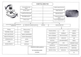 organizational chart najran general hospital