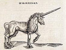 Unicorn powers and type relate to the color of their horn. Unicorn Wikipedia