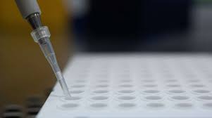 Hdv is one of five known hepatitis viruses: Zwei Infizierte Auch Delta Variante In Der Ortenau Angekommen Baden Online Nachrichten Der Ortenau Offenburger Tageblatt