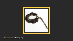 Alat musik ini bentuknya menyerupai kendang dan terbuat dari kayu yang di lubangi tengahnya. 11 Alat Musik Tradisional Papua Penjelasan Lengkap