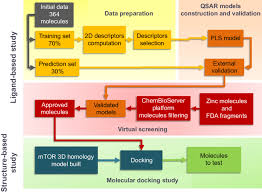 flowchart for the computational drug design used in this