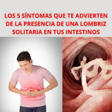 Aquí te presentamos los cinco síntomas clave que podrían estar  advirtiéndote de que tienes una lombriz solitaria en tu organismo.  👇🏻🤔👇🏻  www.saludableypositivo.com202501los-5-sintomas-que-te-advierten-de-la.html