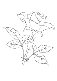 For boys and girls, kids and adults, teenagers and toddlers, preschoolers and older kids at school. Printable Rose Flower Coloring Page Rose Coloring Pages Flowers Coloring Pages Mermaid Coloring Pages