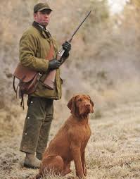 8,470 likes · 183 talking about this · 13 were here. Hungarian Wirehaired Vizsla A Good Working Dog And Family Pet