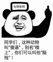 生物老师 同学们 这种动物叫 傻逼 别名 楼上 你们可以叫他 脑残 memes funny jokes