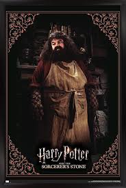Amazon.com: Trends International Harry Potter and The Sorcerer's Stone- Hagrid Cooking Wall Poster, 22.375