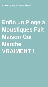 Enfin Un Piege A Moustiques Fait Maison Qui Marche Vraiment En 2020 Piege A Moustiques Fait Maison Piege A Moustiques Moustique