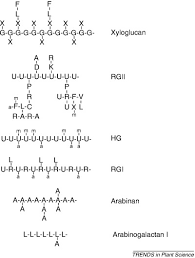 Check spelling or type a new query. The Role Of Plant Cell Wall Polysaccharide Composition In Disease Resistance Sciencedirect