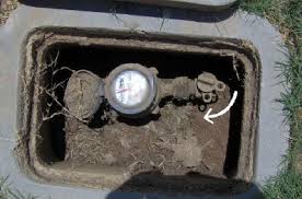 Turn your blow dryer on the lowest setting and blow it toward your ear. Turn It Right Back On Once The City Truck Is Out Of Sight The New Inquiry