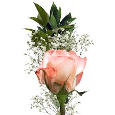 Valentine amari walker needs your support for valentine amari's transition fund. Single Roses Bouquets For Valentines Day Flower Globalrose