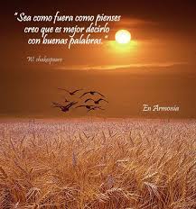 Amor Paz Para Tu Ser Armonia Equilibrio Perfecto Frases De Aliento Frases Bellas Frases