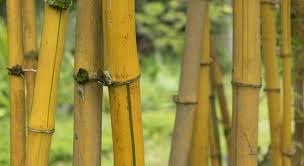 Économisez 2 % au moment de passer la commande. 4 Astuces Pour Realiser Soi Meme Une Tete De Lit