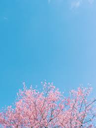 Maybe you would like to learn more about one of these? 900 Light Blue Background Images Download Hd Backgrounds On Unsplash