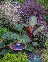 25 Colorful Foliage Ideas Foliage Plants List Foliage Garden Tropical Garden Design Easy To Grow Bulbs Garden Design