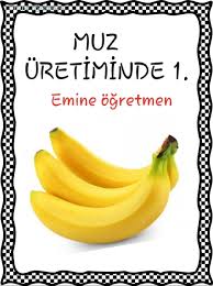 Emine Ogretmen Akdeniz Bolgesini Taniyorum Kitabim Okul Oncesi Okul Okul Oncesi Calisma Cizelgeleri