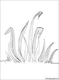 Image Result For How To Draw Grass Grass Drawing Star Art Coloring Pages