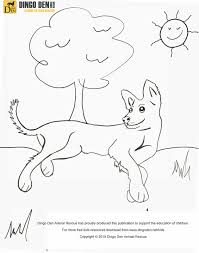 250x304 best of duckbill platypus coloring page. Kids Dingo Den Animal Rescue