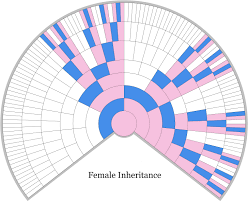 unlocking the genealogical secrets of the x chromosome the