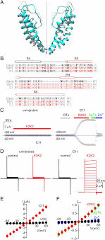 Heating in this example, the heat transferred to the container is a significant fraction of the total transferred heat. Heat Activation Is Intrinsic To The Pore Domain Of Trpv1 Pnas