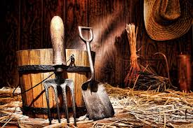The hand tools still used by gardeners originated with the earliest agricultural implements used by humans. Antique Gardening Tools Photograph By Olivier Le Queinec