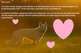 Ein Hundeleben Zwischen Kitsch Und Fellnase Planet Hund