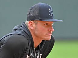 Yankees' Josh Donaldson throws shade at Blue Jays catcher after HBP,  walk-off