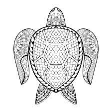 More 100 images of different animals for children's creativity. Hand Drawn Sea Turtle For Adult Coloring Pages In Doodle Zentangle Tribal Style Mehndi Ethnic Ornamental Tattoo Henna Pattern Stock Vector Illustration Of Decoration Element 65143537