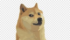 Videos matching i got a doge mask revolvy. Dogecoin Roblox Cat Internet Meme Deal With It Mammal Animals Png Pngegg