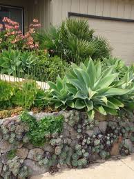 Stutzmauer Sandsteinbossen Offene Fugen Pflanzen Insekten Ansiedeln Garten Pflanzen Vorgarten