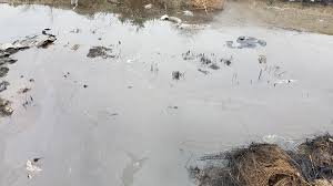 Odată ajunse în mediul acvatic. StaÈ›ia De OsmozÄƒ AdusÄƒ Pentru Teste La Pata Rat Ar Putea CurÄƒÈ›a Lacul De Levigat Ce ConÈ›ine È™i Metale Grele Video Stiri De Cluj