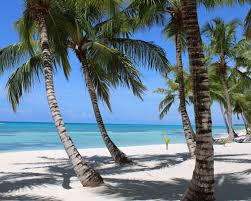 Check spelling or type a new query. Holidays In Punta Cana Princess Hotels Resorts
