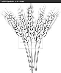 Black And White Outline Corn Clipart Image Result For Black And White Wheat Bundle Clipart Wheat Drawing Drawings Outline Drawings