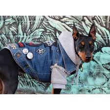 Pethaus Gallery Denim Dog Battle Jacket Pet Style