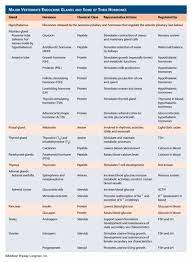 Glandshormones Jpg 587 800 Endocrine System Hormones Endocrine Hormones Endocrine Disorders