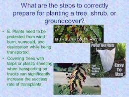 I did have a face mask on but too hot to pull over the nose and such. Next Generation Science Common Core Standards Addressed Ppt Download