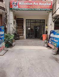 Our selection of card games, board games, mahjong games, and casino games is the best of the best. Dog Cat Clinic Hospital Veterinary Doctors Book Appointment Online Veterinary Doctors In Ramesh Nagar Delhi Justdial