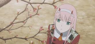 Recheck vif status after a reset is. 357 Images About ËË‹ Zero Two Gifs ËŽËŠ On We Heart It See More About Zero Two Darling In The Franxx And Gif