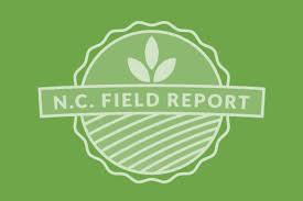 our blog north carolina soybeans