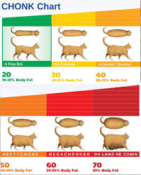Identifying Chonk Absolute Units Poster Absoluteunits