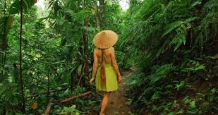 Image result for tbn:Qm8QJA0FQGkeJM::www.trekkingchile.com/Images/mis_fotos/1201890604.jpg