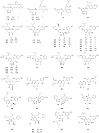 Image result for Melasma calycinum