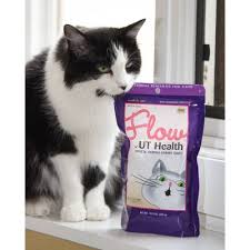Inclover Flow Urinary Health Soft Chews For Cats 2 1oz Cat Vitamins Urinary Health Free Cats